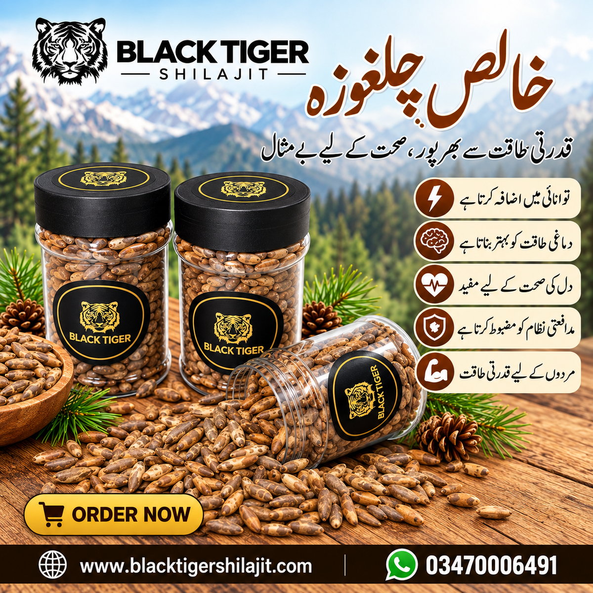 Premium Chilgoza Pine Nuts – High Quality