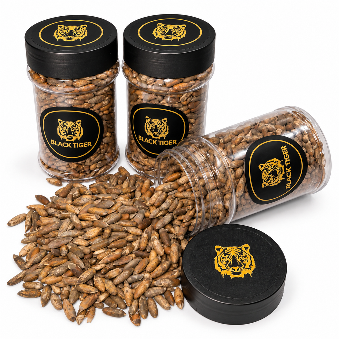 Premium Chilgoza Pine Nuts – High Quality