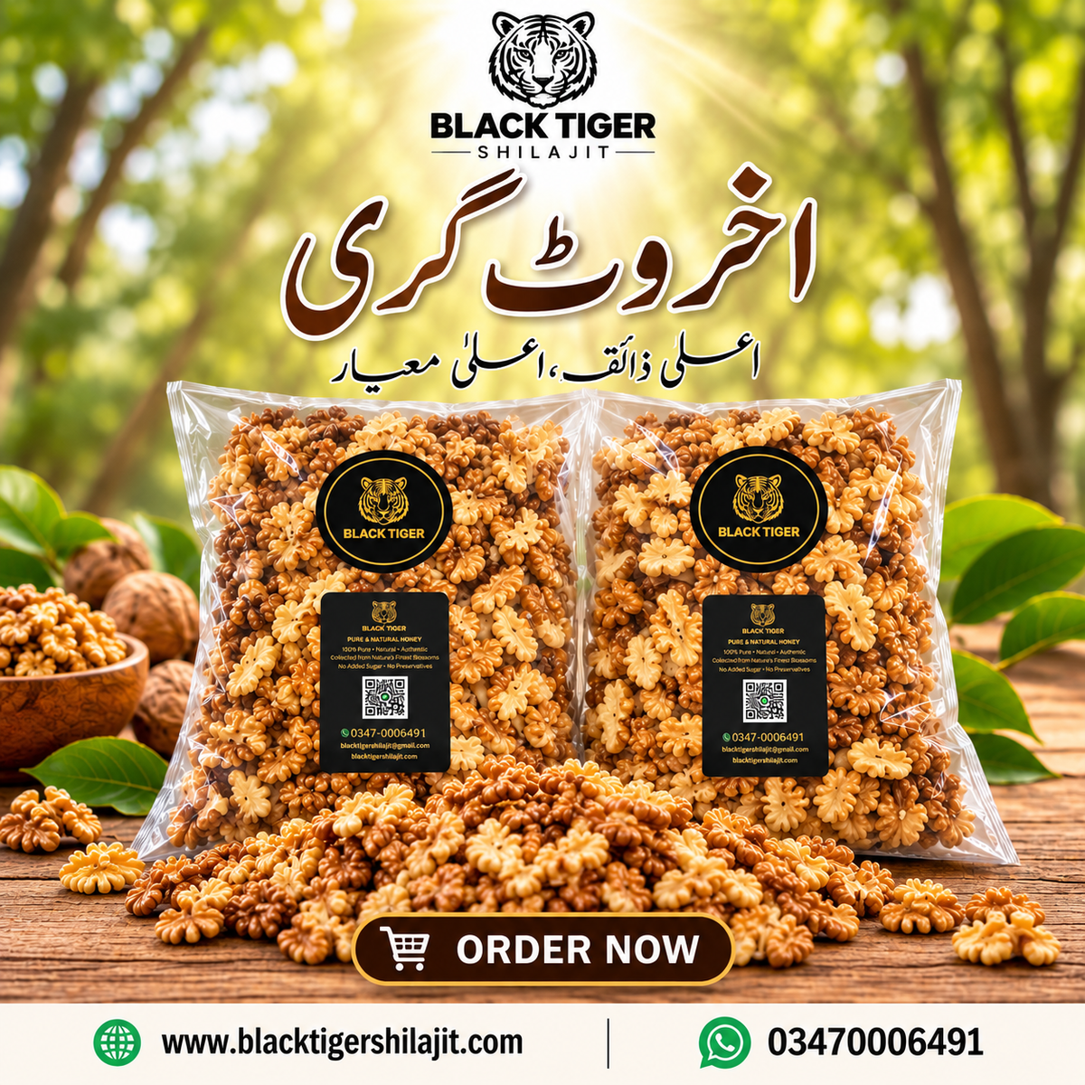 Premium Diamer Gilgit-Baltistan Walnut Kernels | Black Tiger